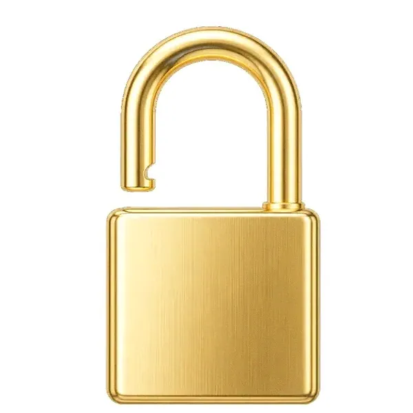 Padlock — Incognito