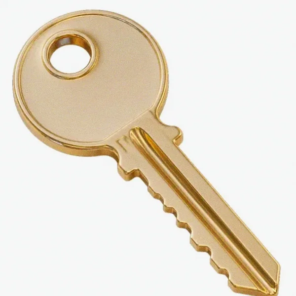 Metal key — Incognito