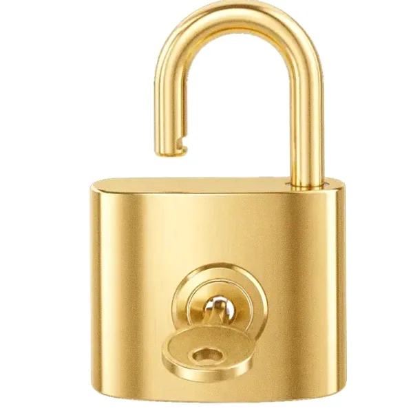 Open padlock — Incognito